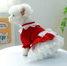 Load image into Gallery viewer, Andrea’s Deals Cute Bow-Knot Lace Trim Velvet Princess Dog Dress Medium