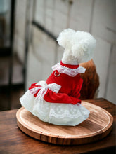 Load image into Gallery viewer, Andrea’s Deals Cute Bow-Knot Lace Trim Velvet Princess Dog Dress Medium