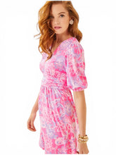 Load image into Gallery viewer, NWT Lilly Pulitzer Brightan Dress Roseau Pink Zen Garden 10