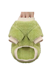Load image into Gallery viewer, Andrea’s Deals Fruit Dog Sweater Green Small