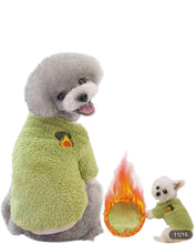 Load image into Gallery viewer, Andrea’s Deals Fruit Dog Sweater Green Small