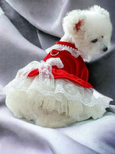 Load image into Gallery viewer, Andrea’s Deals Cute Bow-Knot Lace Trim Velvet Princess Dog Dress Medium