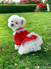 Load image into Gallery viewer, Andrea’s Deals Cute Bow-Knot Lace Trim Velvet Princess Dog Dress Medium