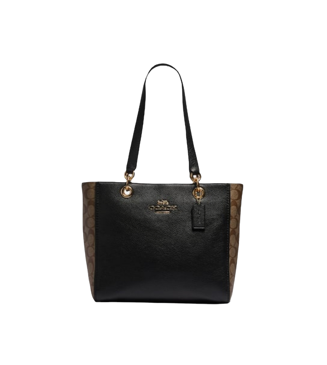 Coach Jes Tote In Signature Canvas